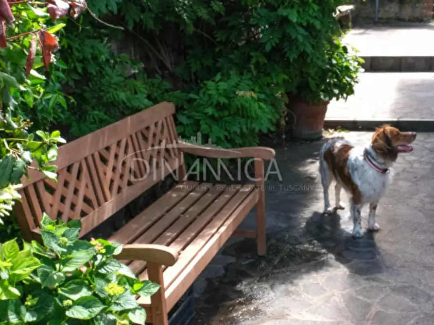 Immagine 33 di Villa in vendita  a Pomarance