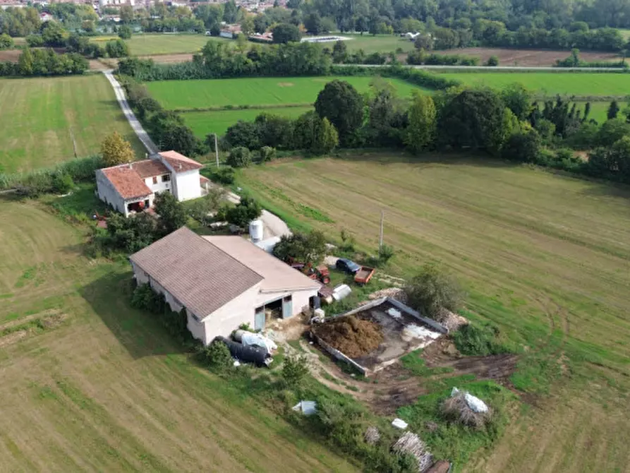 Immagine 4 di Villa in vendita  a Volta Mantovana