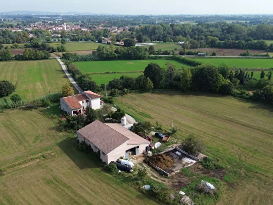 Immagine 4 di Villa in vendita  a Volta Mantovana