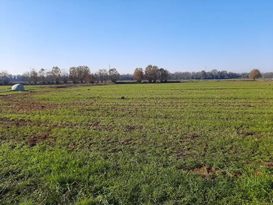 Immagine 13 di Villa in vendita  a Volta Mantovana