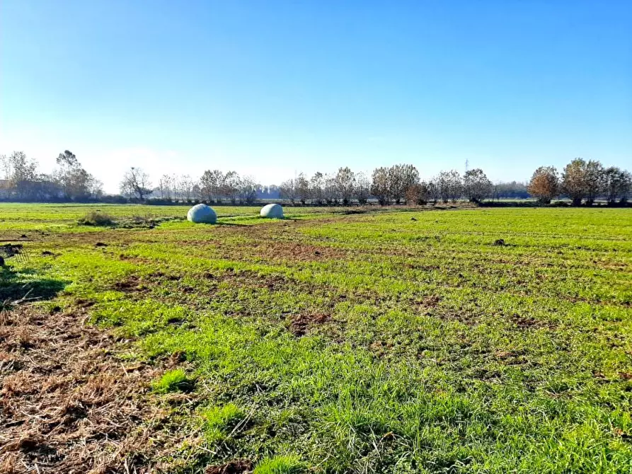 Immagine 14 di Villa in vendita  a Volta Mantovana