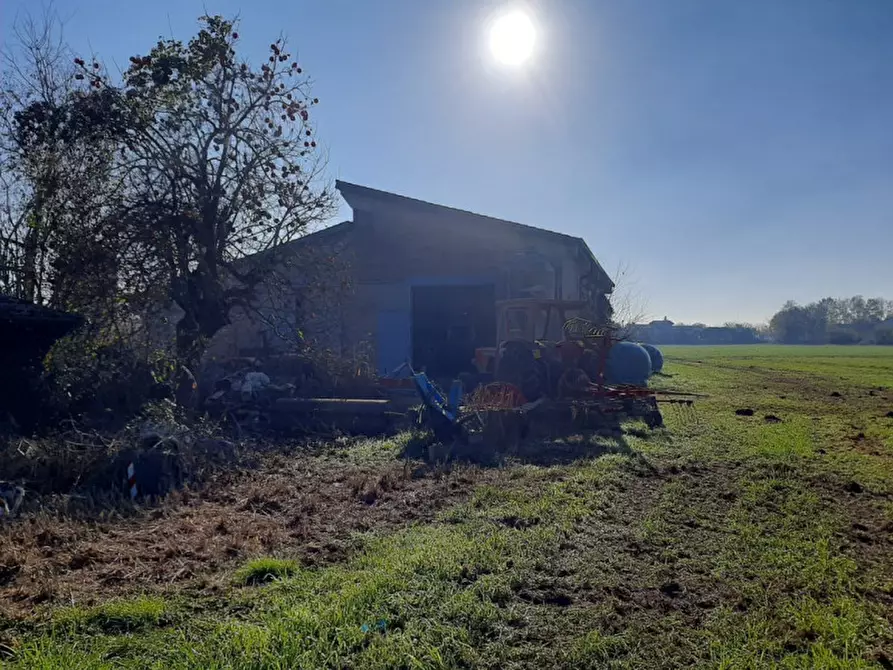 Immagine 15 di Villa in vendita  a Volta Mantovana