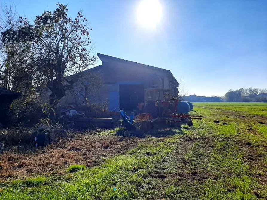 Immagine 16 di Villa in vendita  a Volta Mantovana
