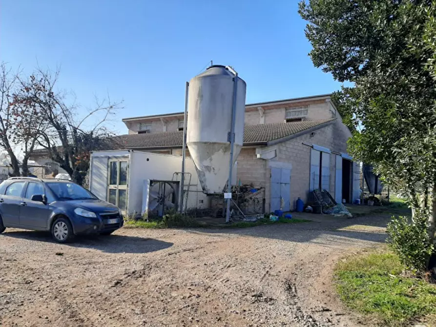 Immagine 18 di Villa in vendita  a Volta Mantovana