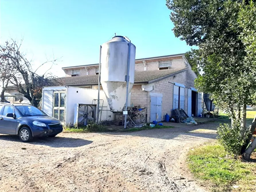 Immagine 19 di Villa in vendita  a Volta Mantovana