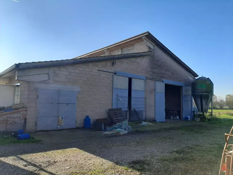 Immagine 21 di Villa in vendita  a Volta Mantovana