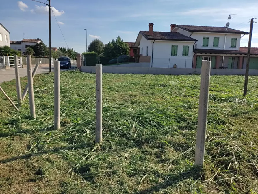 Immagine 2 di Terreno in vendita  a Piacenza D'adige