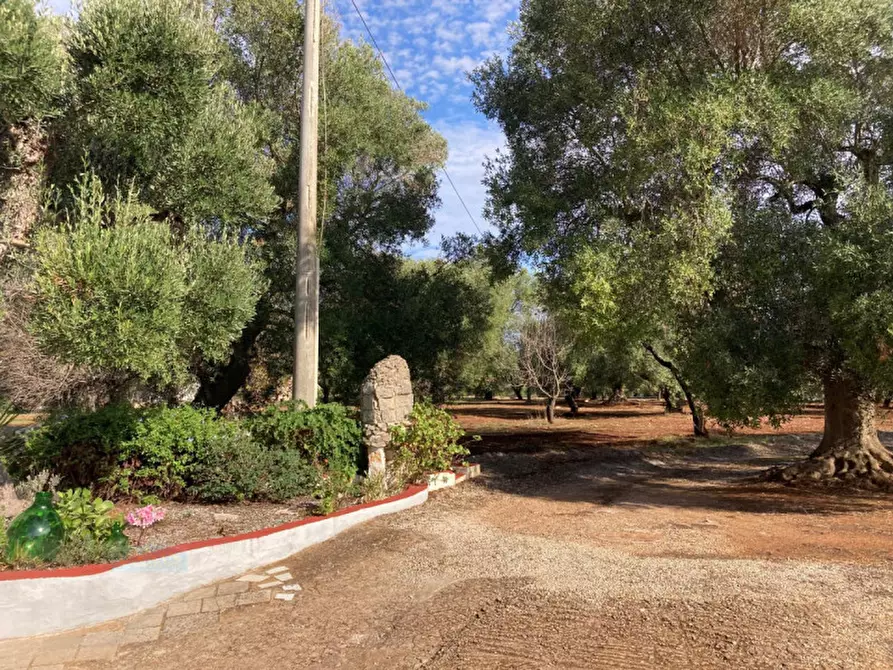 Immagine 23 di Rustico / casale in vendita  in Contrada Votano Russo a Ceglie Messapico