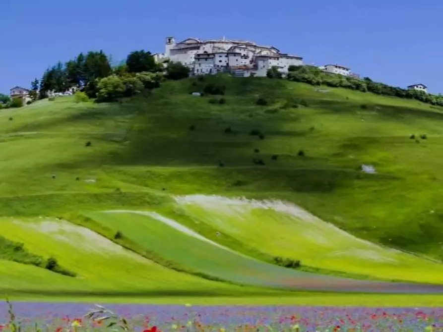 Immagine 1 di Villa in vendita  in Via lardona a San Giorgio Delle Pertiche