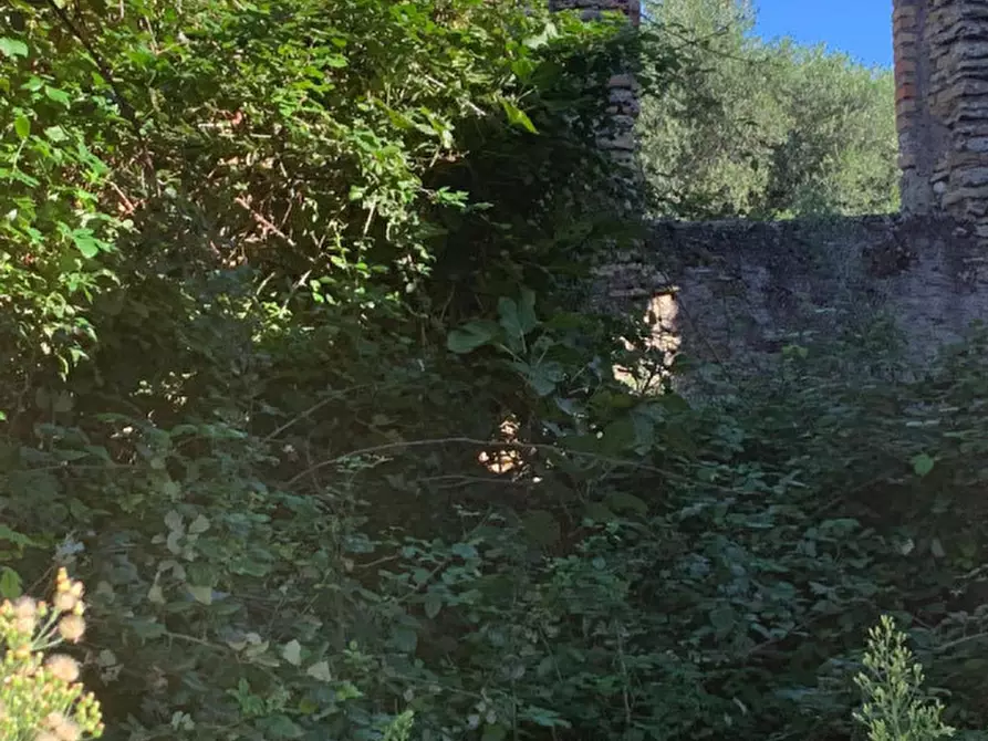 Immagine 5 di Rustico / casale in vendita  in LOCALITA' CROVAGNANO a Moricone