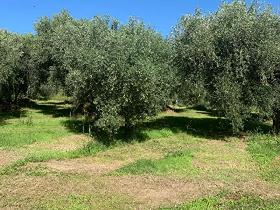 Immagine 11 di Rustico / casale in vendita  in LOCALITA' CROVAGNANO a Moricone