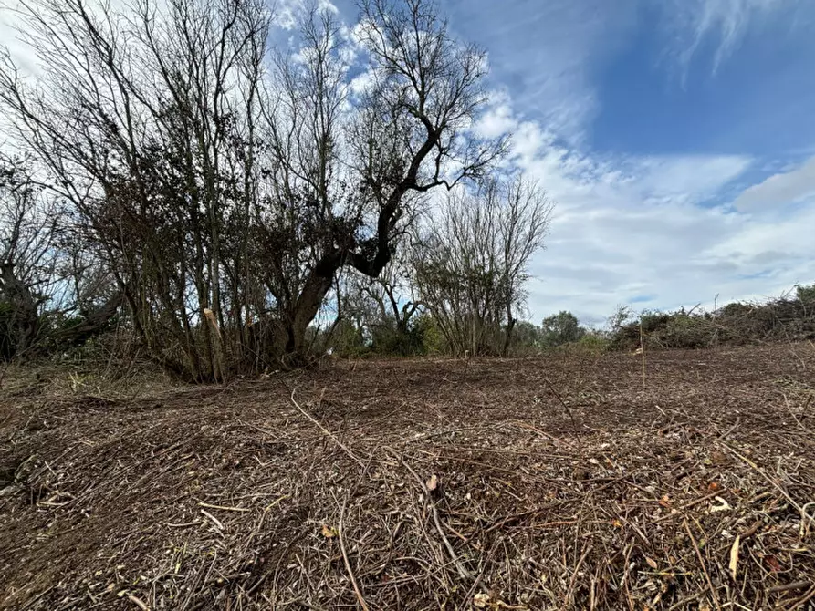 Immagine 3 di Casa indipendente in vendita  in Contrada Colamaria a Cutrofiano
