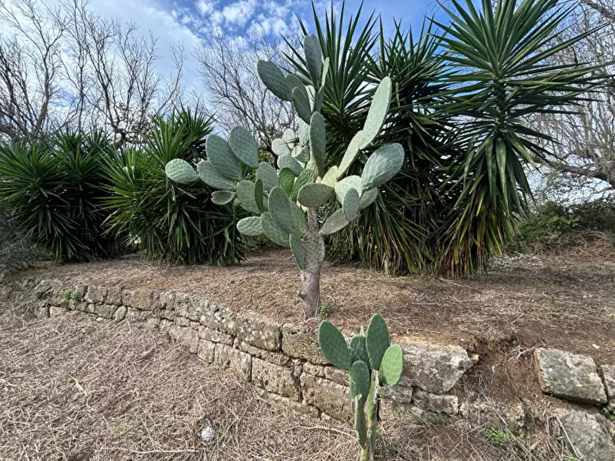 Immagine 4 di Casa indipendente in vendita  in Contrada Colamaria a Cutrofiano