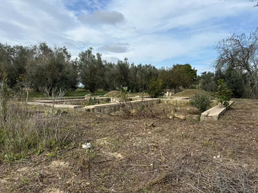 Immagine 5 di Casa indipendente in vendita  in Contrada Colamaria a Cutrofiano