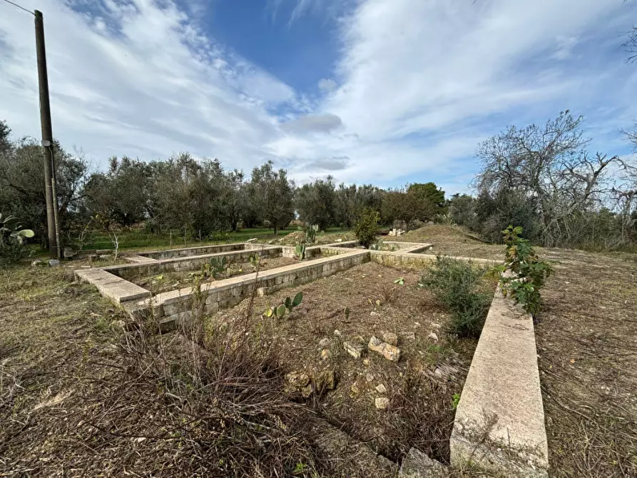 Immagine 6 di Casa indipendente in vendita  in Contrada Colamaria a Cutrofiano