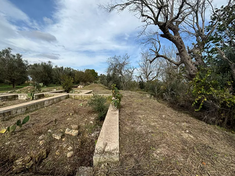 Immagine 7 di Casa indipendente in vendita  in Contrada Colamaria a Cutrofiano