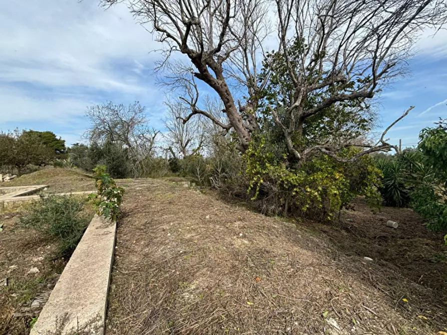 Immagine 8 di Casa indipendente in vendita  in Contrada Colamaria a Cutrofiano