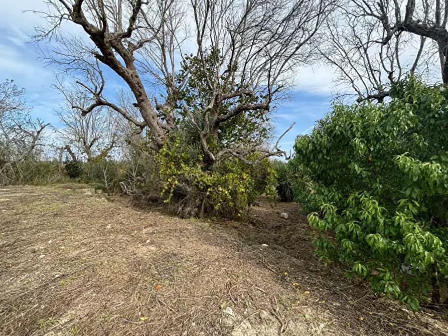 Immagine 9 di Casa indipendente in vendita  in Contrada Colamaria a Cutrofiano