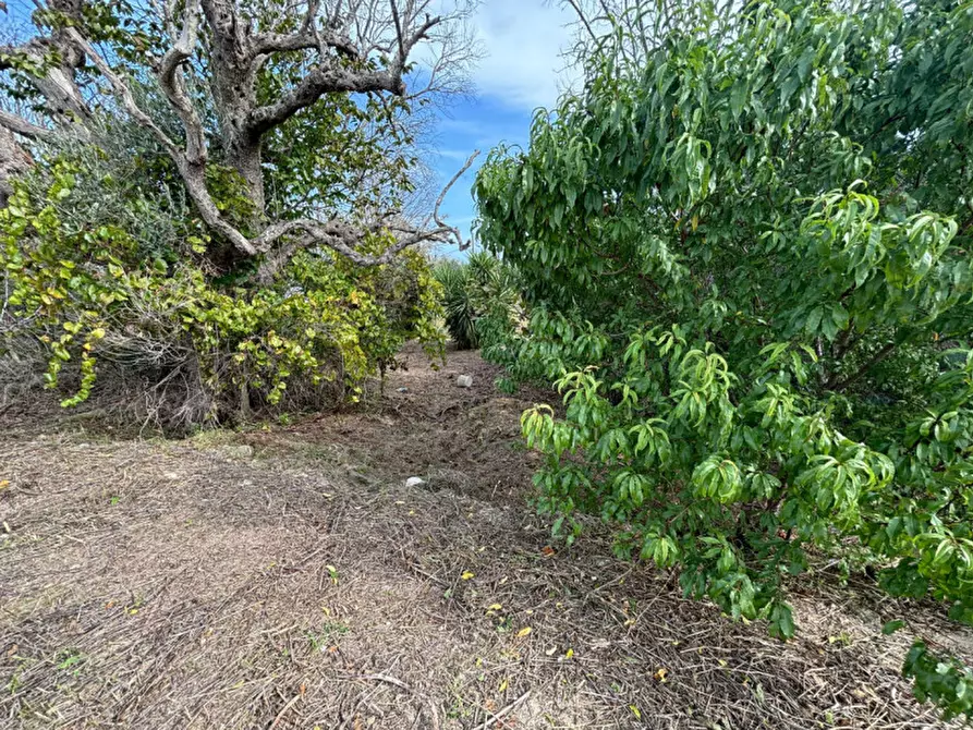 Immagine 10 di Casa indipendente in vendita  in Contrada Colamaria a Cutrofiano
