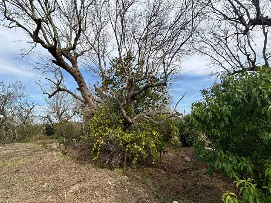 Immagine 11 di Casa indipendente in vendita  in Contrada Colamaria a Cutrofiano