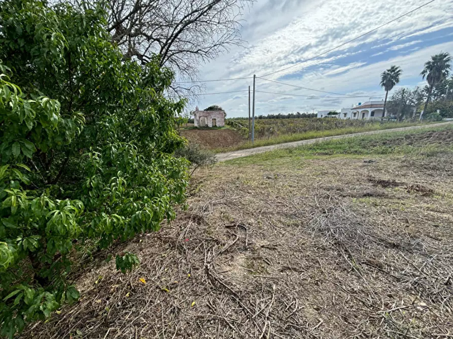 Immagine 12 di Casa indipendente in vendita  in Contrada Colamaria a Cutrofiano