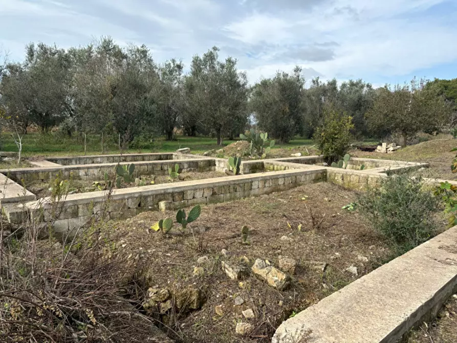 Immagine 13 di Casa indipendente in vendita  in Contrada Colamaria a Cutrofiano