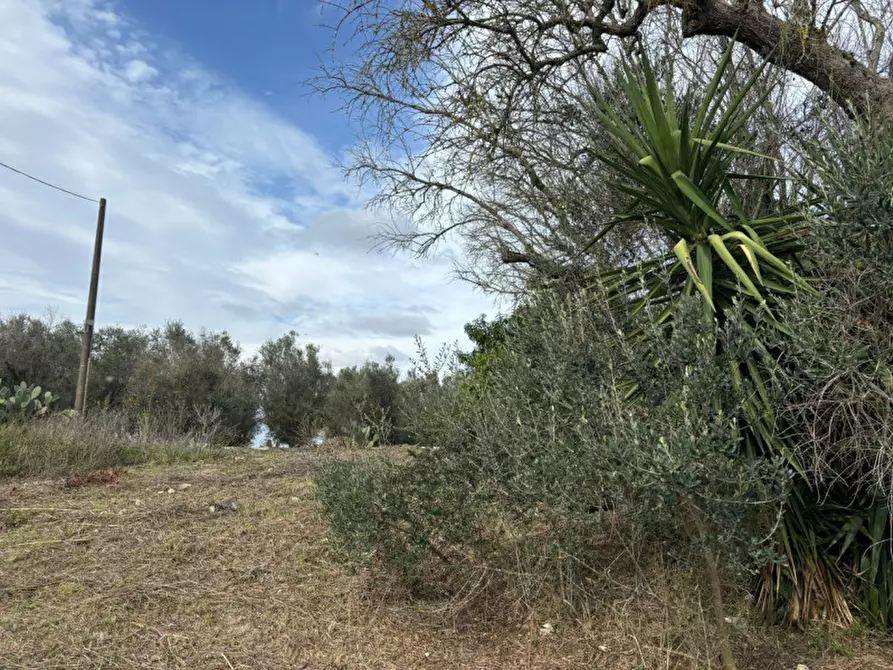 Immagine 14 di Casa indipendente in vendita  in Contrada Colamaria a Cutrofiano