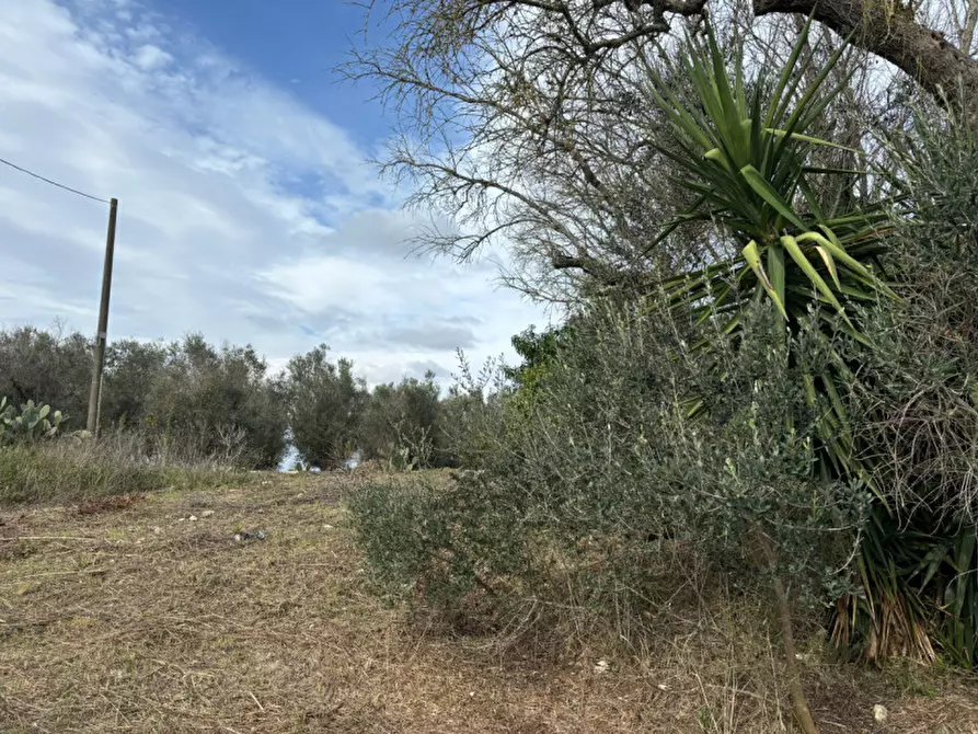 Immagine 15 di Casa indipendente in vendita  in Contrada Colamaria a Cutrofiano