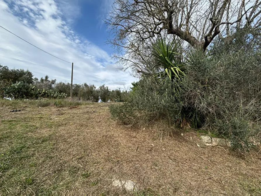 Immagine 16 di Casa indipendente in vendita  in Contrada Colamaria a Cutrofiano