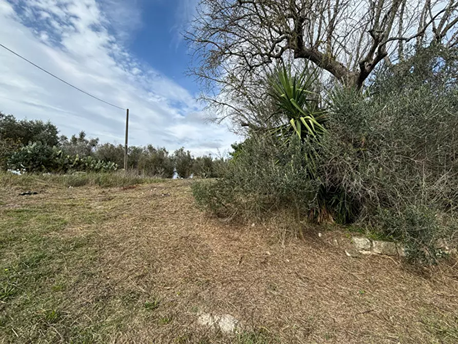 Immagine 17 di Casa indipendente in vendita  in Contrada Colamaria a Cutrofiano