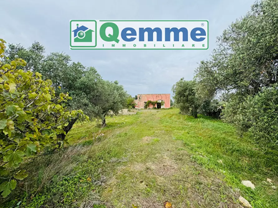 Immagine 4 di Rustico / casale in vendita  in SP362 a Galatina