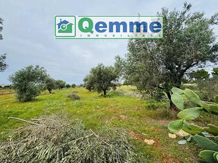 Immagine 20 di Rustico / casale in vendita  in SP362 a Galatina