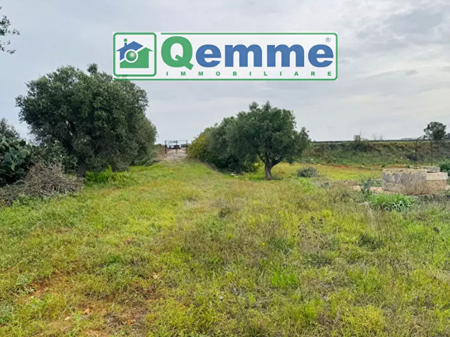 Immagine 22 di Rustico / casale in vendita  in SP362 a Galatina