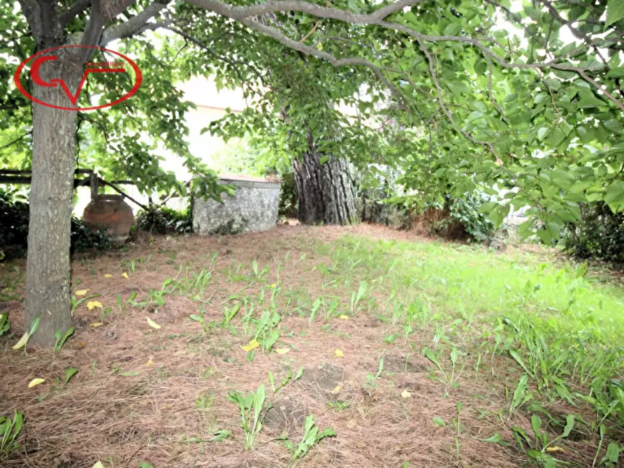 Immagine 7 di Casa indipendente in vendita  in San Martino a Castelfranco Piandiscò