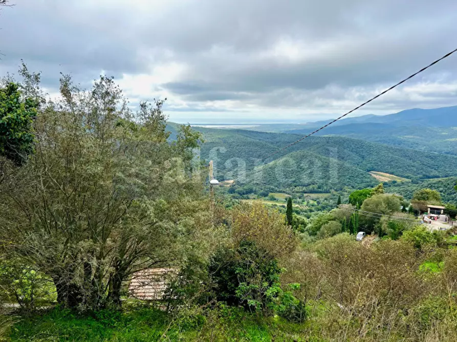 Immagine 3 di Casa indipendente in vendita  a Castiglione Della Pescaia