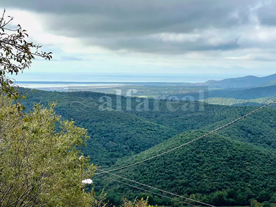 Immagine 4 di Casa indipendente in vendita  a Castiglione Della Pescaia