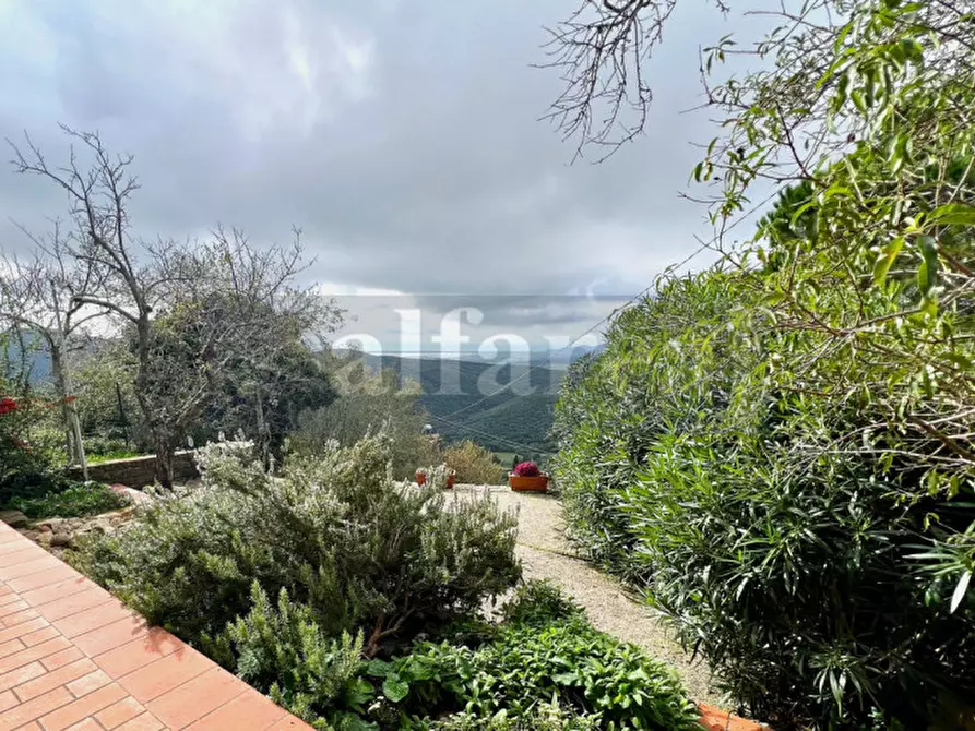 Immagine 5 di Casa indipendente in vendita  a Castiglione Della Pescaia