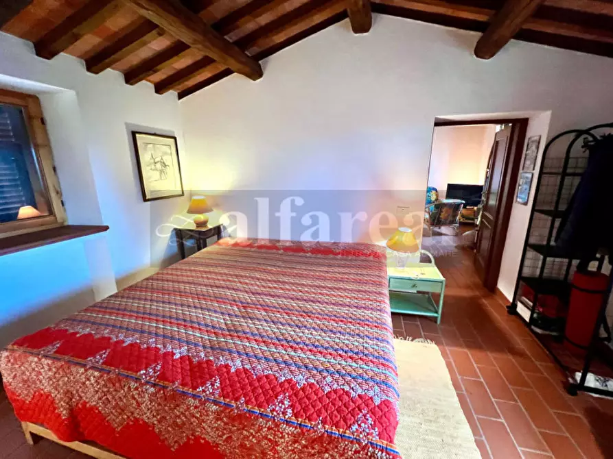 Immagine 15 di Casa indipendente in vendita  a Castiglione Della Pescaia