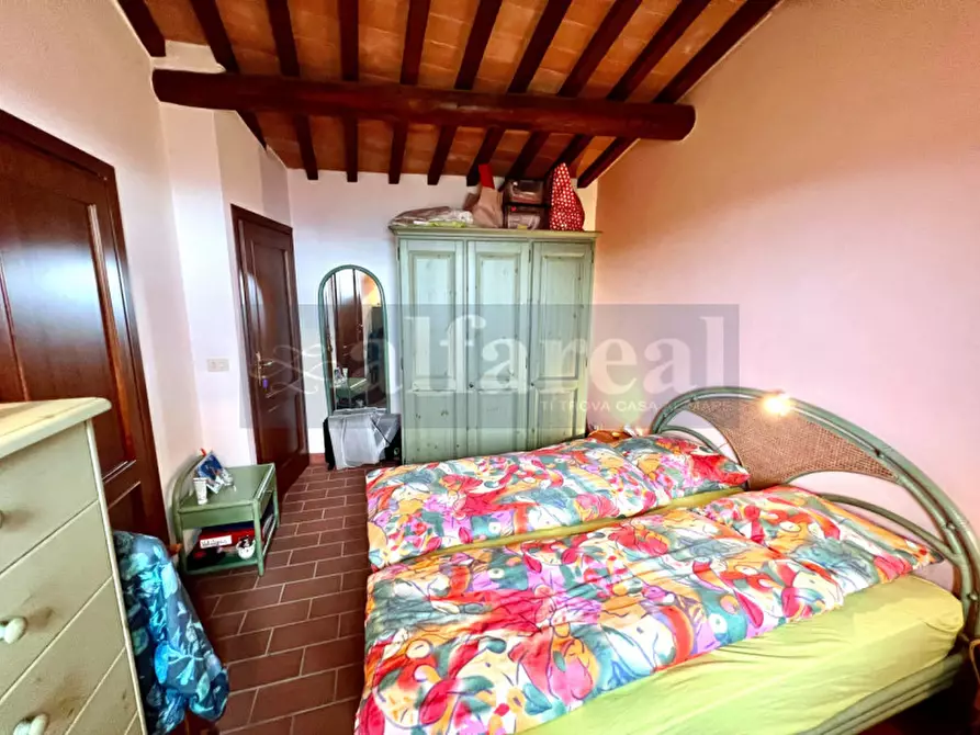 Immagine 17 di Casa indipendente in vendita  a Castiglione Della Pescaia