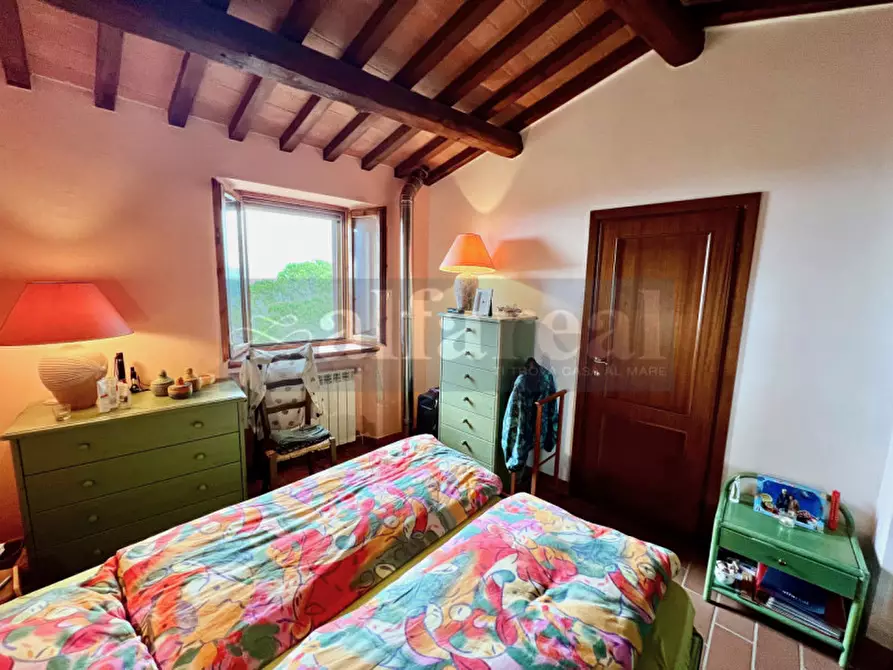 Immagine 18 di Casa indipendente in vendita  a Castiglione Della Pescaia