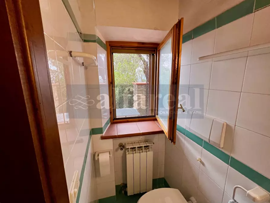 Immagine 22 di Casa indipendente in vendita  a Castiglione Della Pescaia