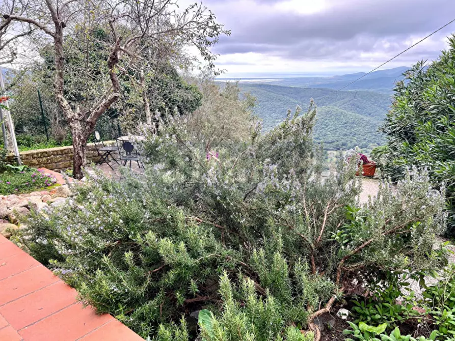 Immagine 24 di Casa indipendente in vendita  a Castiglione Della Pescaia