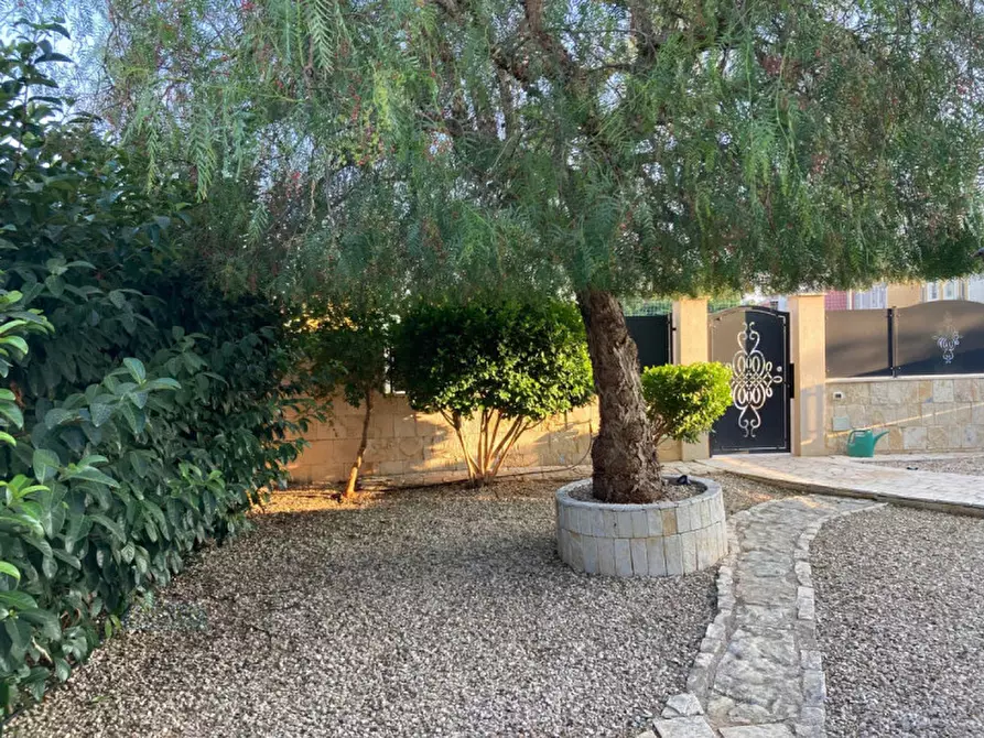 Immagine 37 di Appartamento in vendita  in Via Cosenza a San Michele Salentino