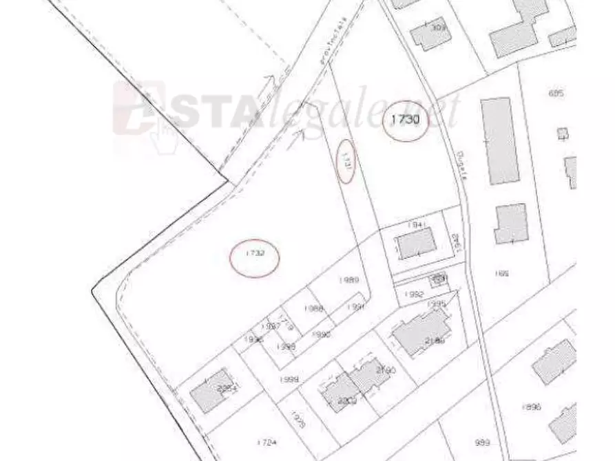 Immagine 8 di Terreno in vendita  in VIA VALTER BRUNELLI a Nogara