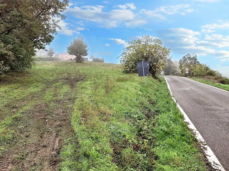 Immagine 5 di Terreno in vendita  in Via Carlo Didimi, N. snc a Treia