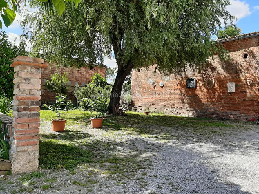 Immagine 2 di Rustico / casale in vendita  a Sinalunga
