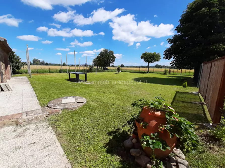 Immagine 4 di Rustico / casale in vendita  a Sinalunga