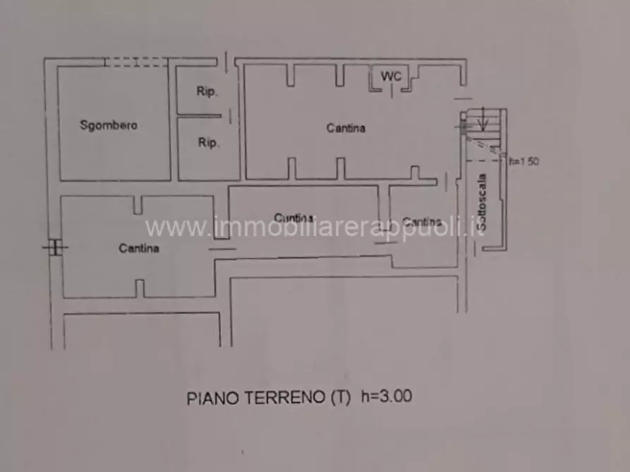 Immagine 24 di Rustico / casale in vendita  a Sinalunga