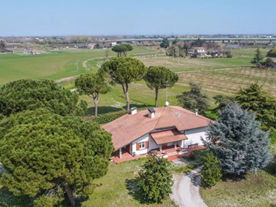 Immagine 3 di Villa in vendita  a Cesena