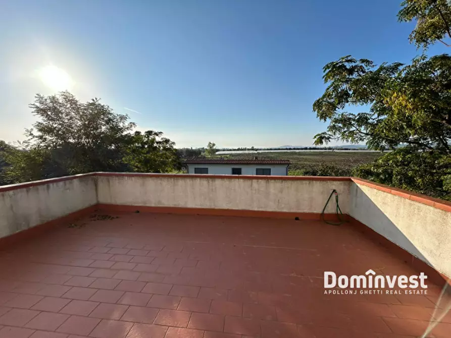 Immagine 5 di Rustico / casale in vendita  in Strada delle Basse a Capalbio